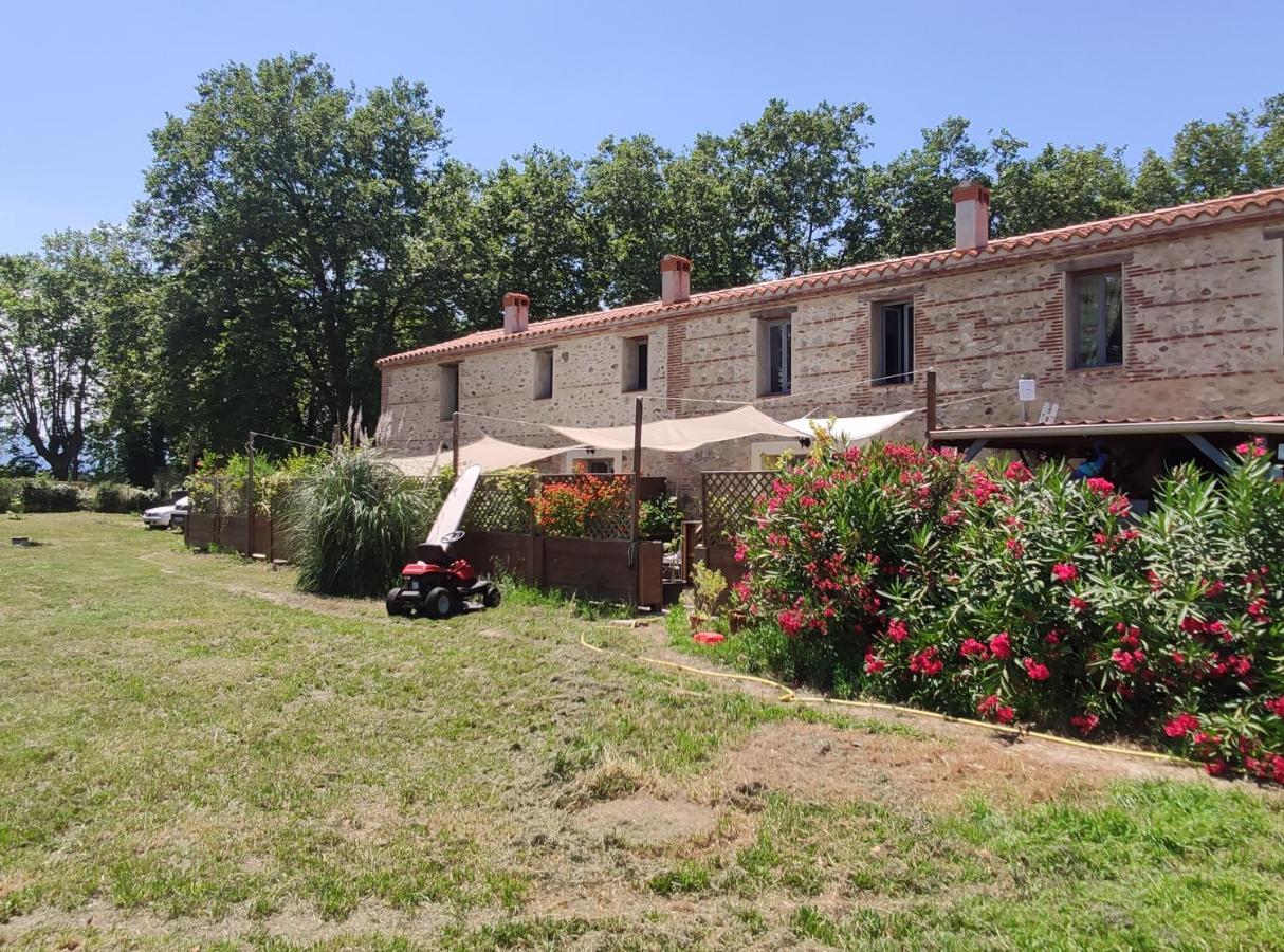 Les Appartements Du Mas Riols 圣西普里安 外观 照片